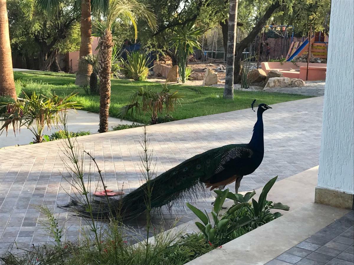 Villa Blanche Piscine Chauffee Agadir Buitenkant foto