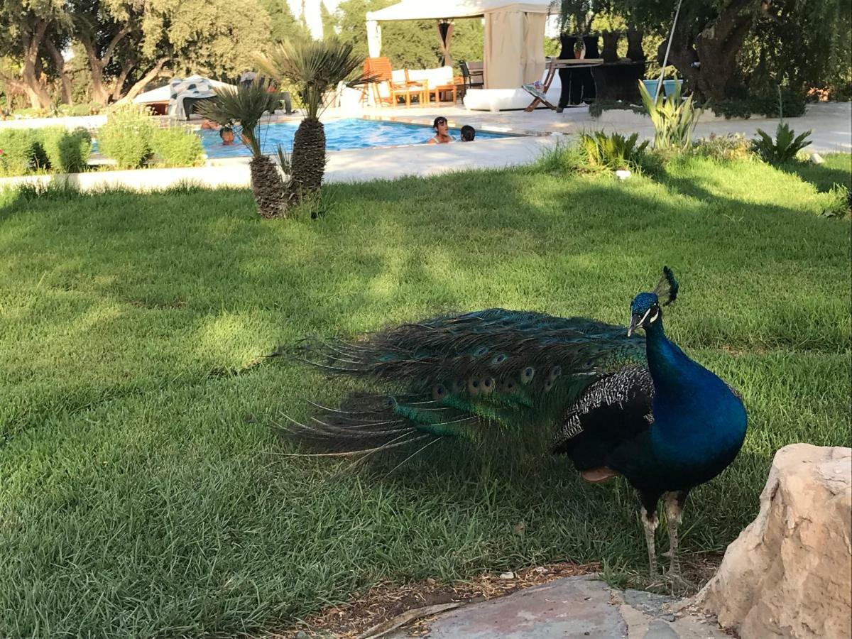 Villa Blanche Piscine Chauffee Agadir Buitenkant foto