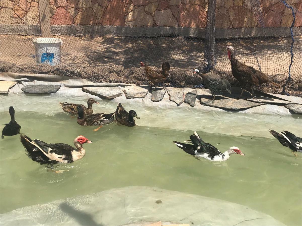 Villa Blanche Piscine Chauffee Agadir Buitenkant foto